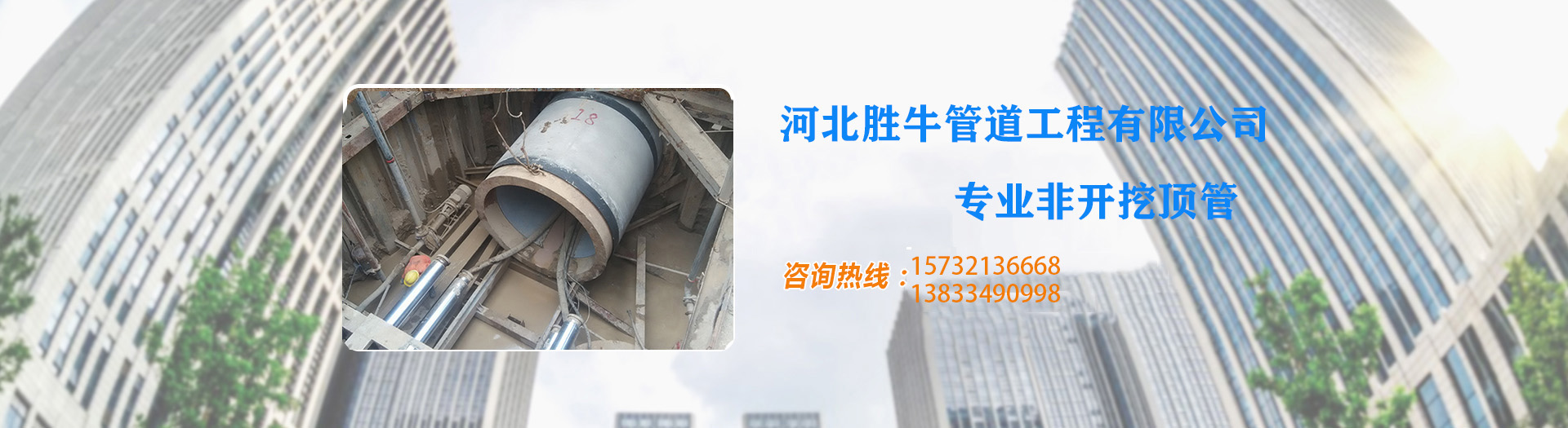 麻豆AV在线观看